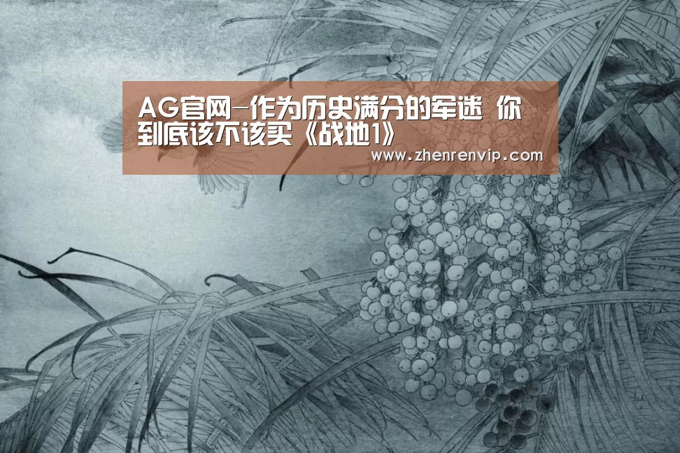 AG官网-作为历史满分的军迷 你到底该不该买《战地1》(图2) AG官网