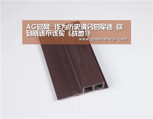 AG官网-作为历史满分的军迷 你到底该不该买《战地1》(图3) AG官网