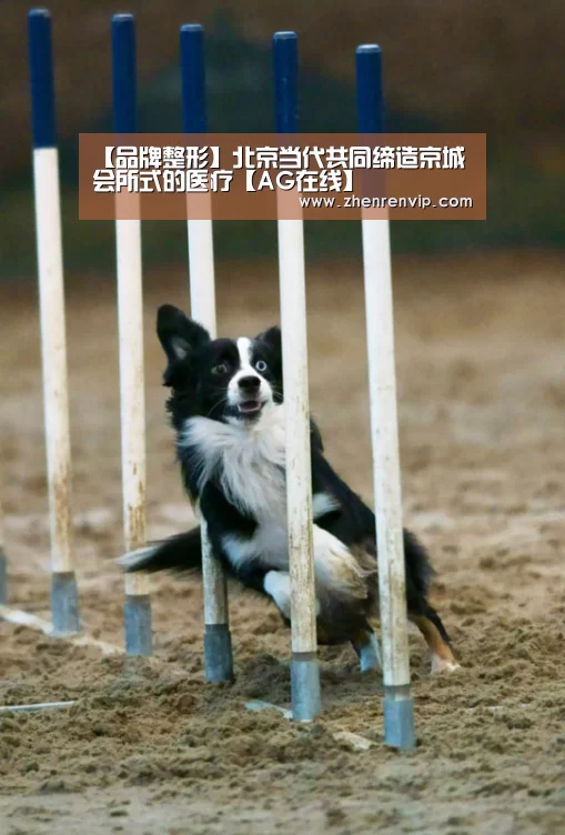 【品牌整形】北京当代共同缔造京城会所式的医疗【AG在线】(图2) AG入口