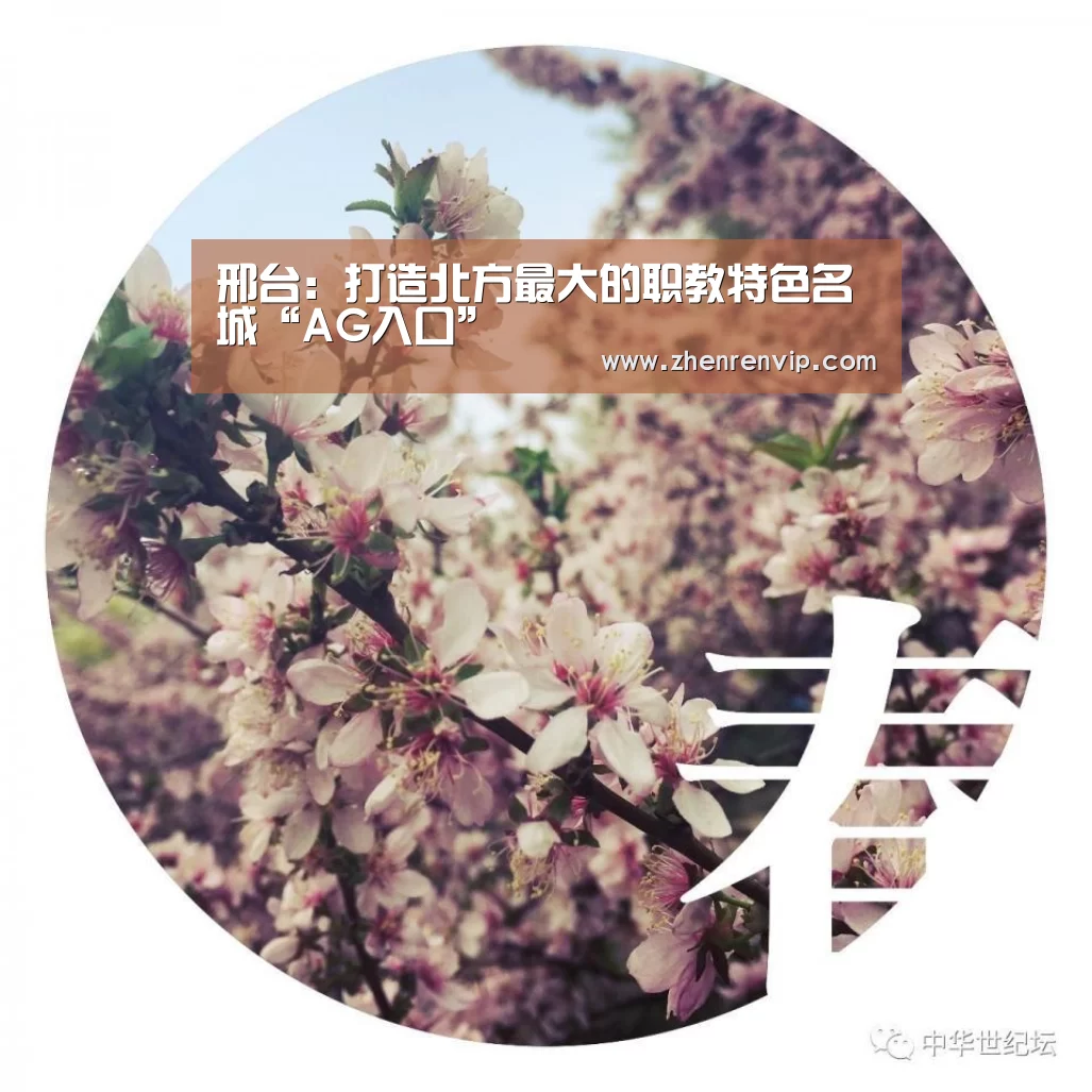 邢台:打造北方最大的职教特色名城“AG入口”(图2) AG在线