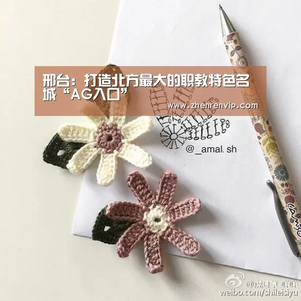 邢台:打造北方最大的职教特色名城“AG入口”(图3) AG在线