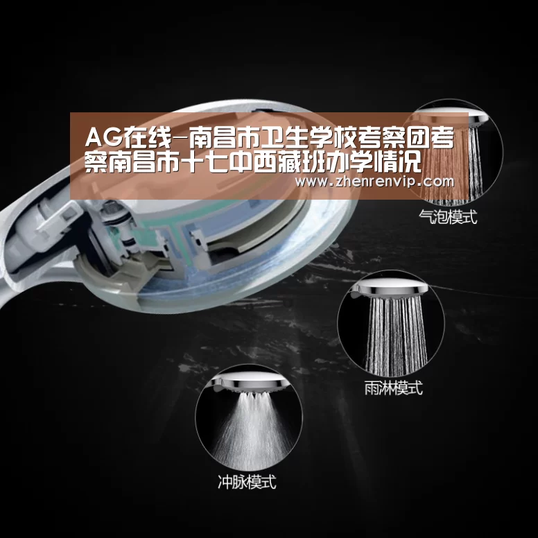 AG在线-南昌市卫生学校考察团考察南昌市十七中西藏班办学情况(图2) AG在线